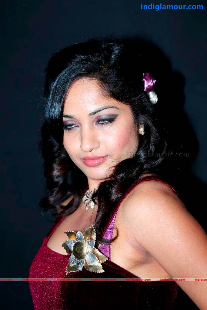 Madhavi Latha Actress hd photo