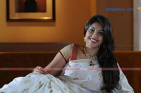 Richa Gangopadhyay Actress hd photo