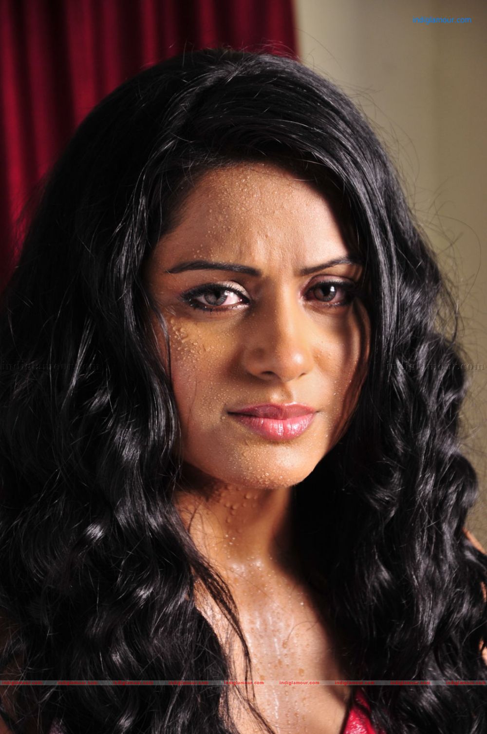 Rachana Mourya Actress hd photo