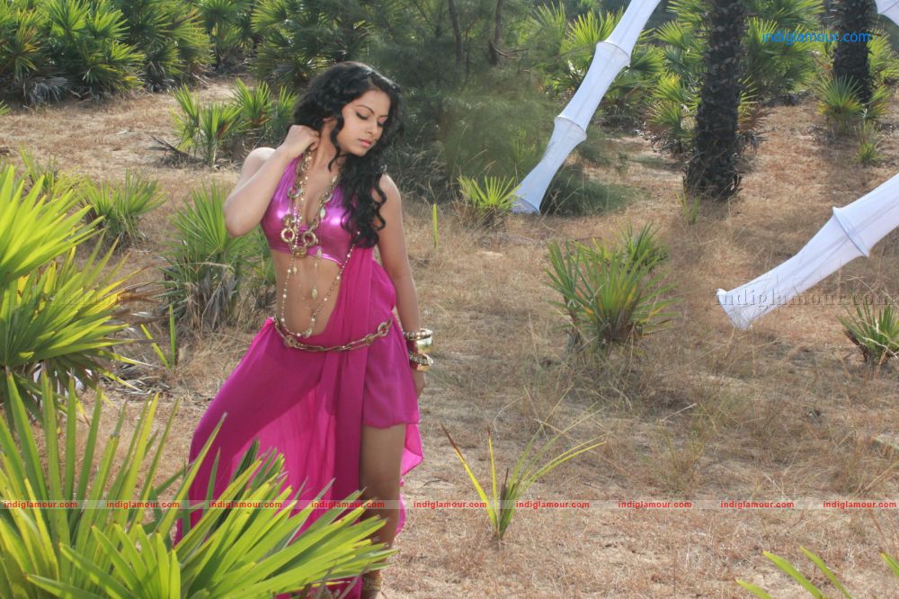 Rachana Mourya Actress hd photo