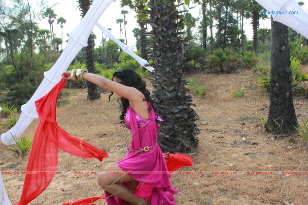 Rachana Mourya Actress hd photo