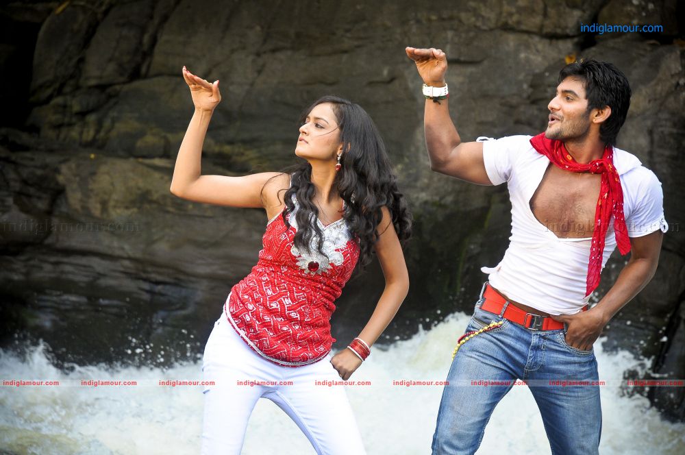 Shanvi Actress hd photo