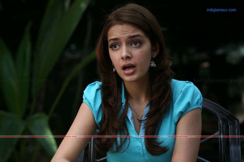 Shazahn Padamsee Actress hd photo