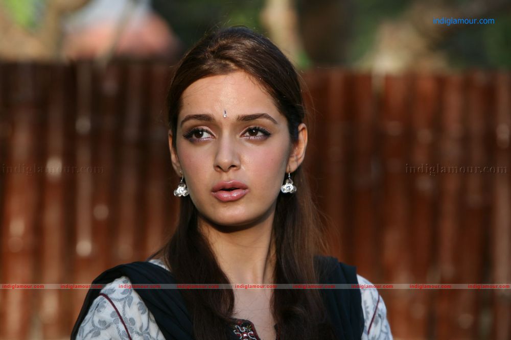 Shazahn Padamsee Actress hd photo