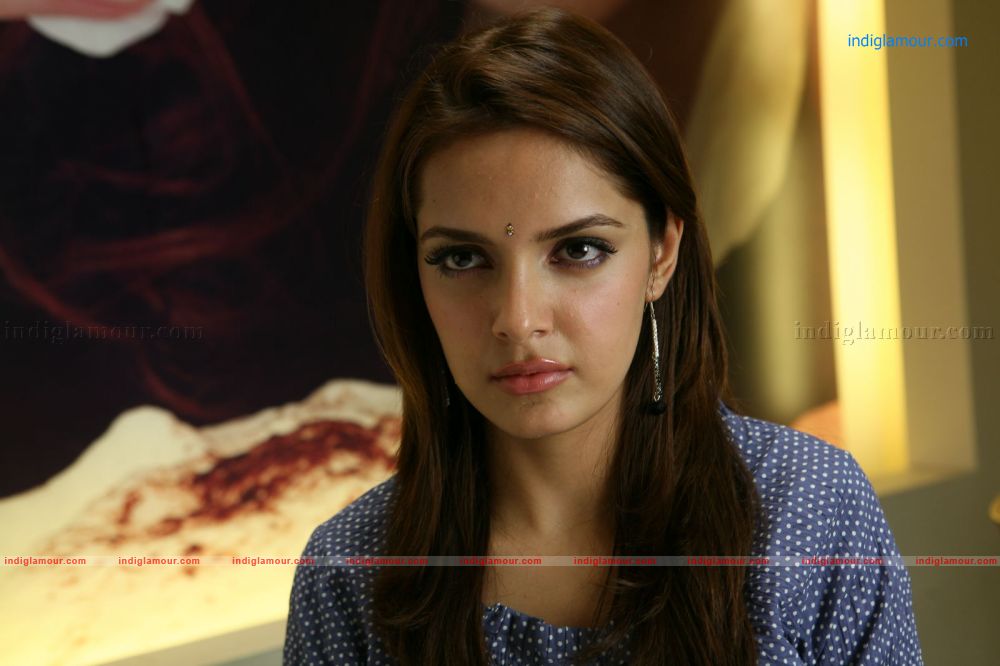 Shazahn Padamsee Actress hd photo