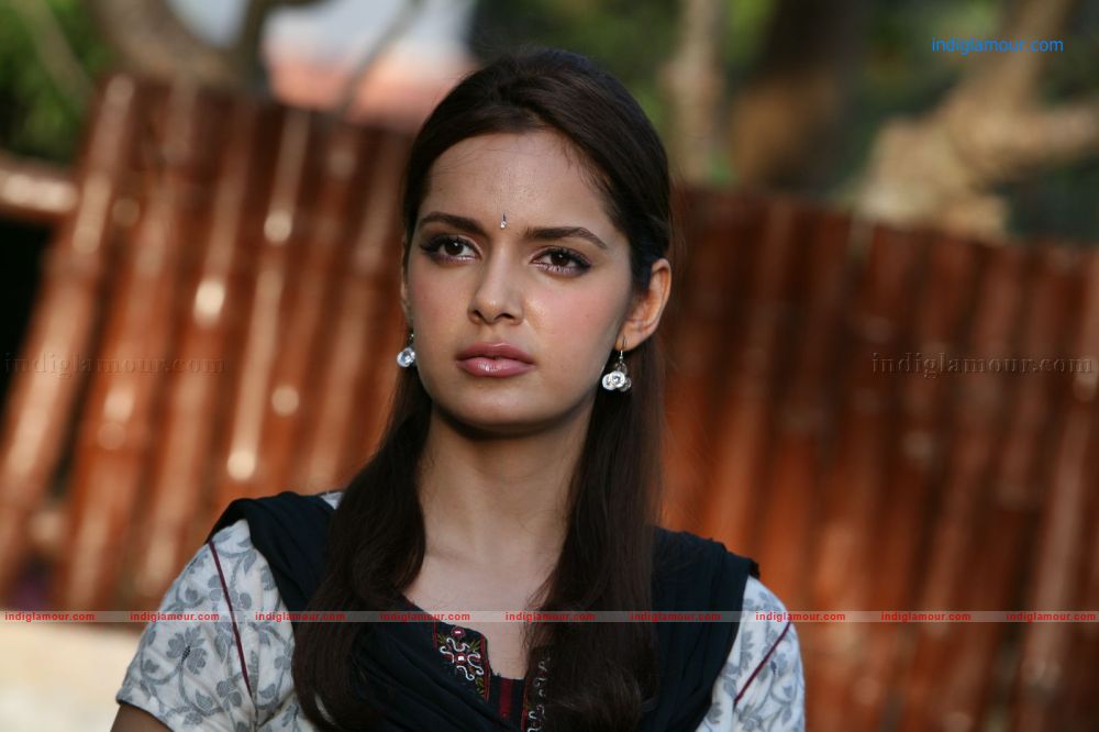 Shazahn Padamsee Actress hd photo