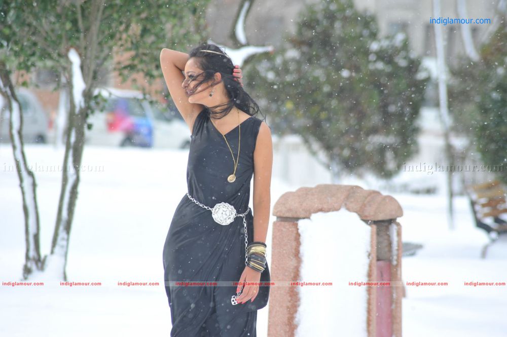 Shanvi Actress hd photo