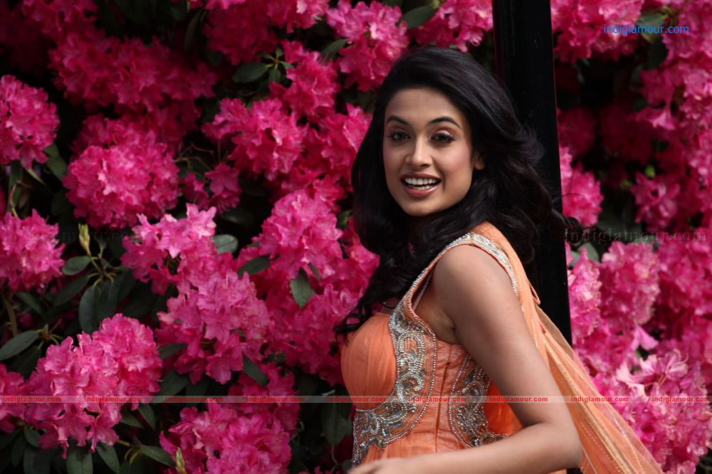 Sarah Jane Dias Actress hd photo