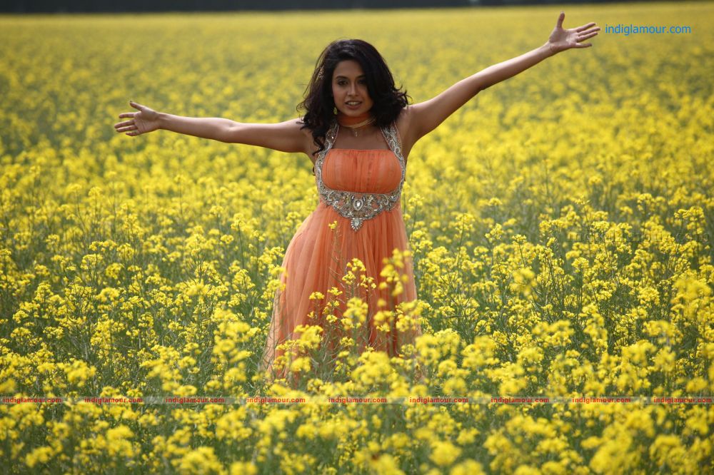 Sarah Jane Dias Actress hd photo