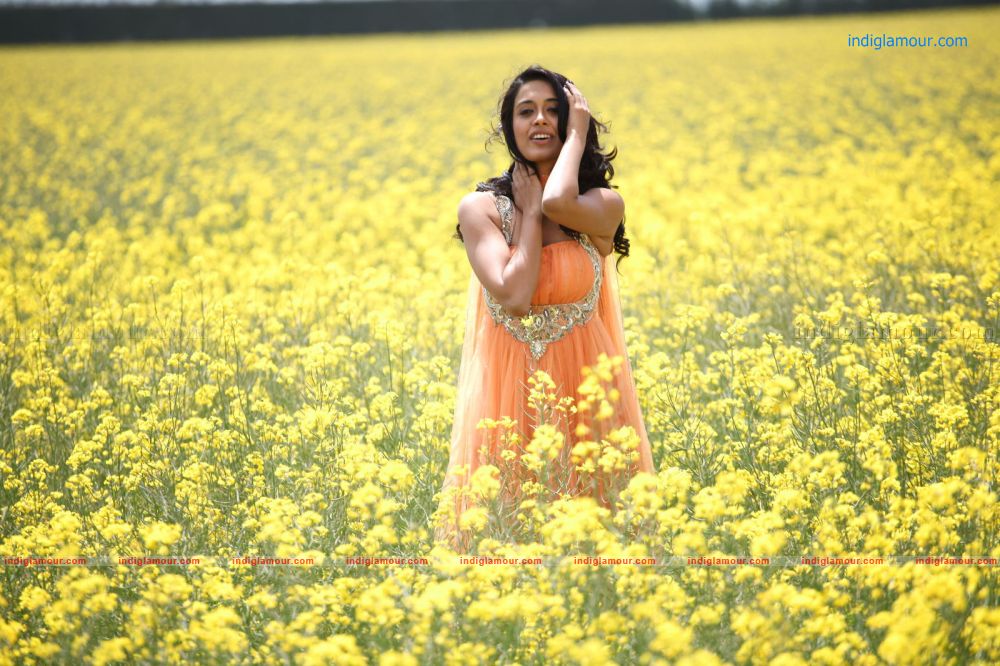 Sarah Jane Dias Actress hd photo