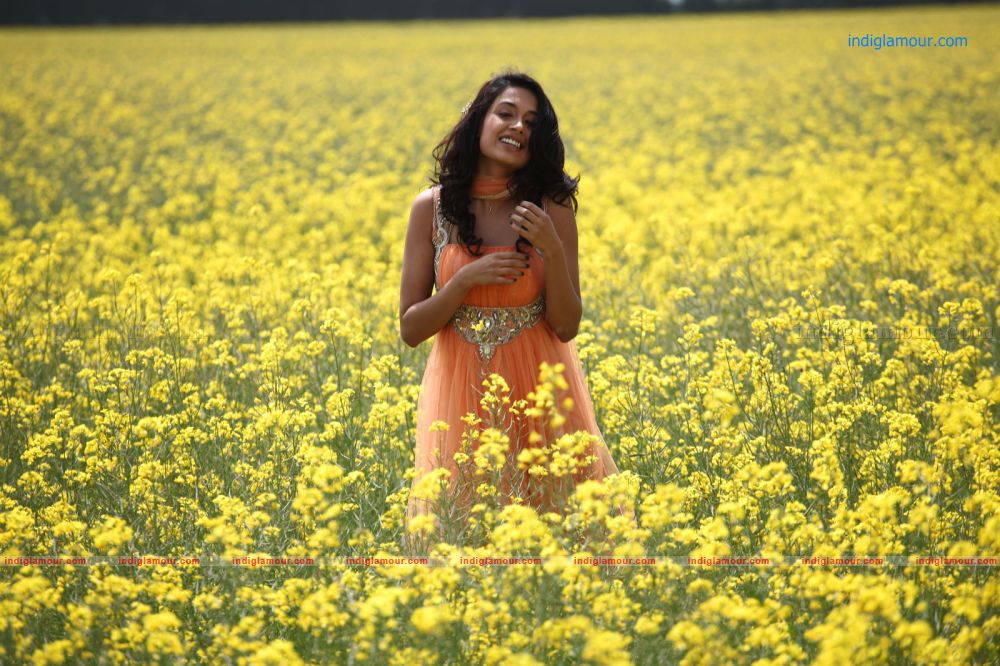 Sarah Jane Dias Actress hd photo