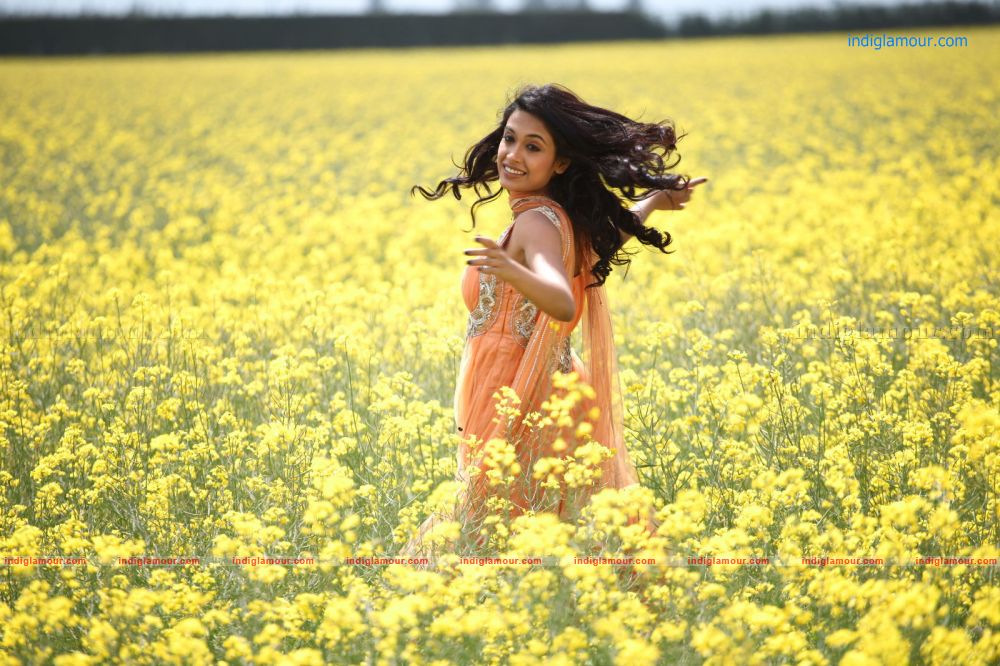 Sarah Jane Dias Actress hd photo