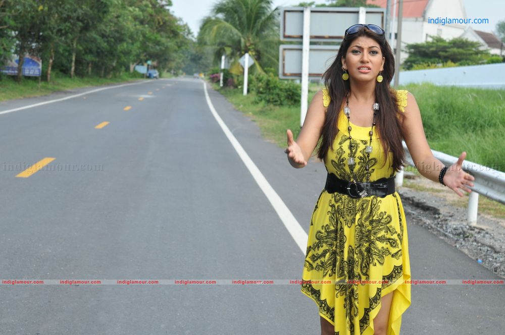 Sarah Sharma Actress hd photo