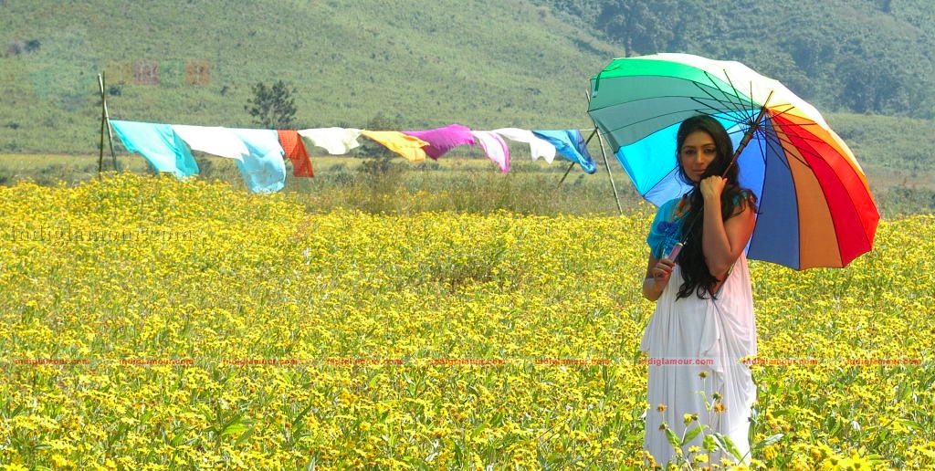 Andari Bhanduvaya Movie hd photo
