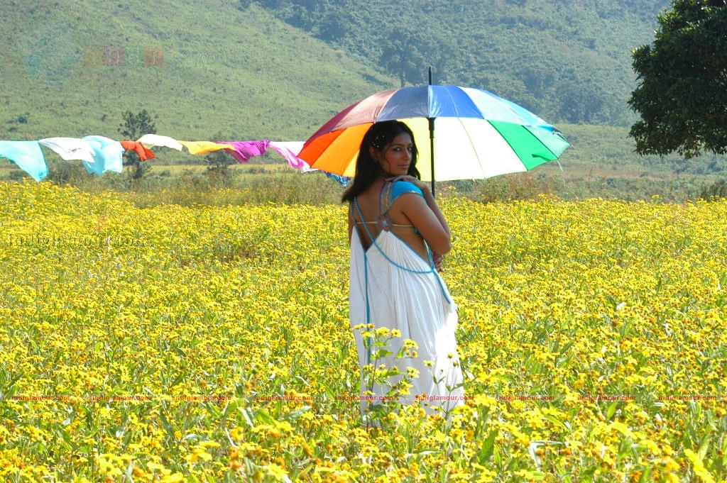 Andari Bhanduvaya Movie hd photo
