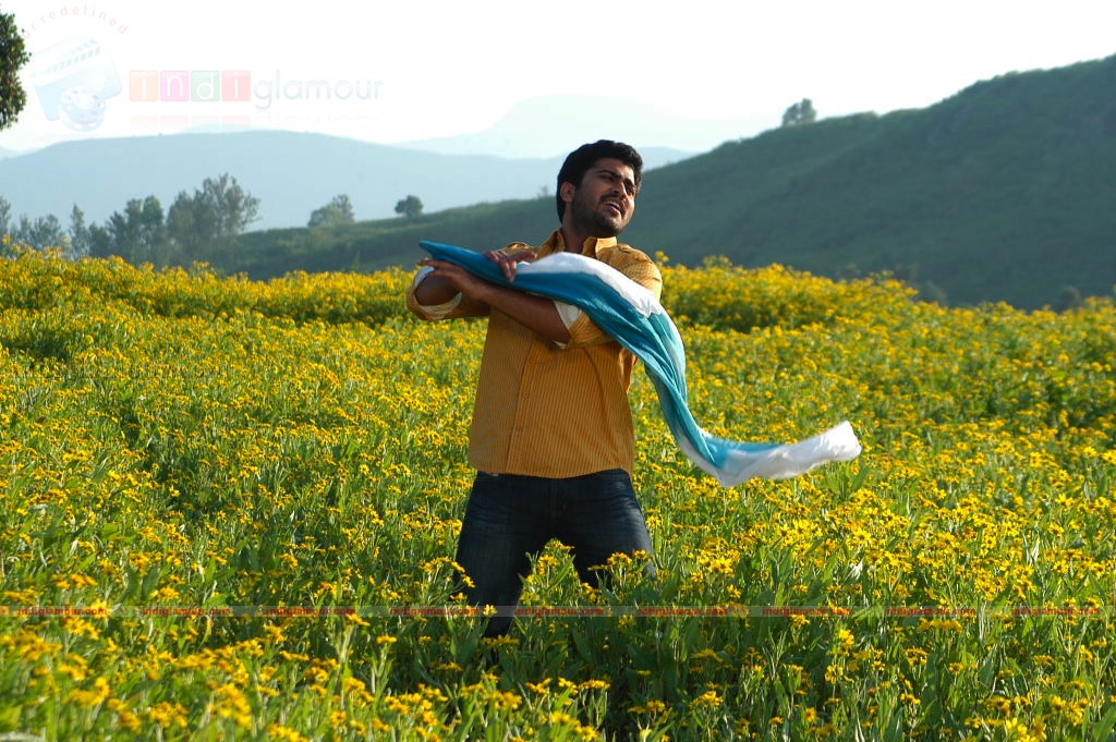 Andari Bhanduvaya Movie hd photo