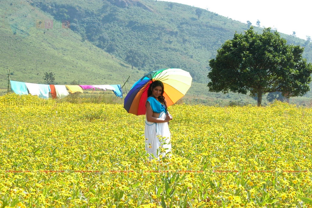 Andari Bhanduvaya Movie hd photo
