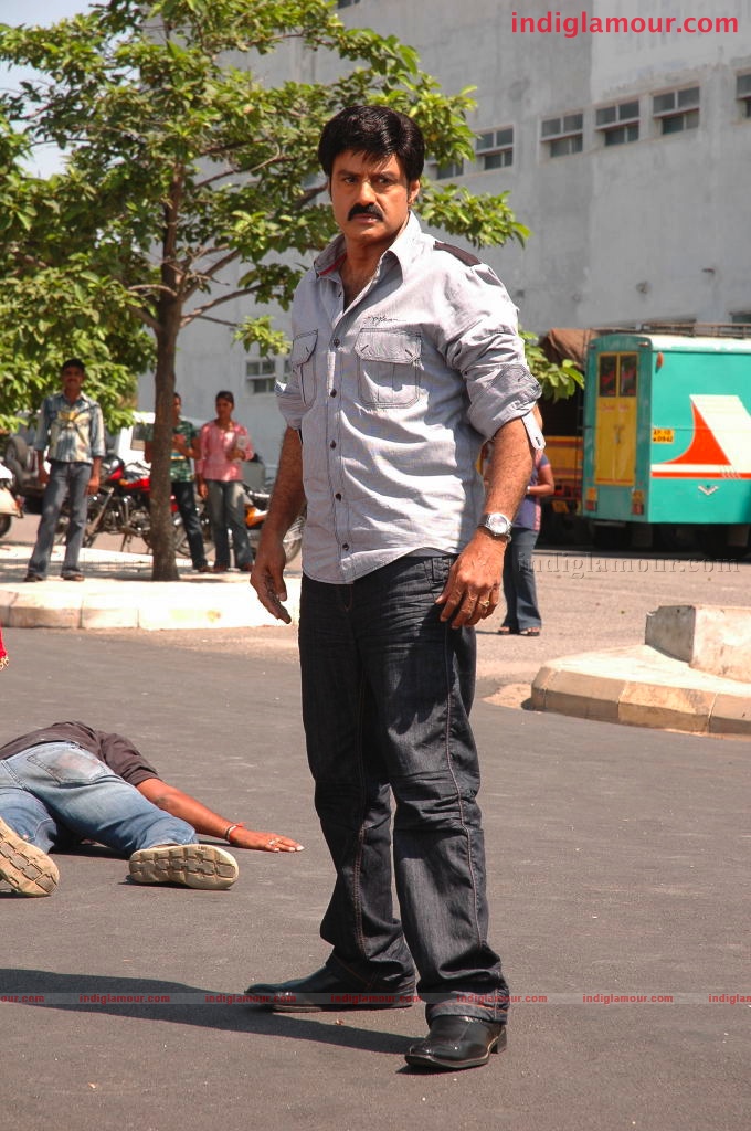 Simha Movie hd photo