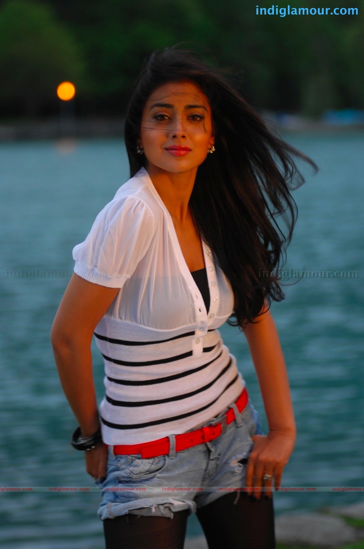 Don Seenu *ing Ravi Teja, Shriya Saran Movie hd photo