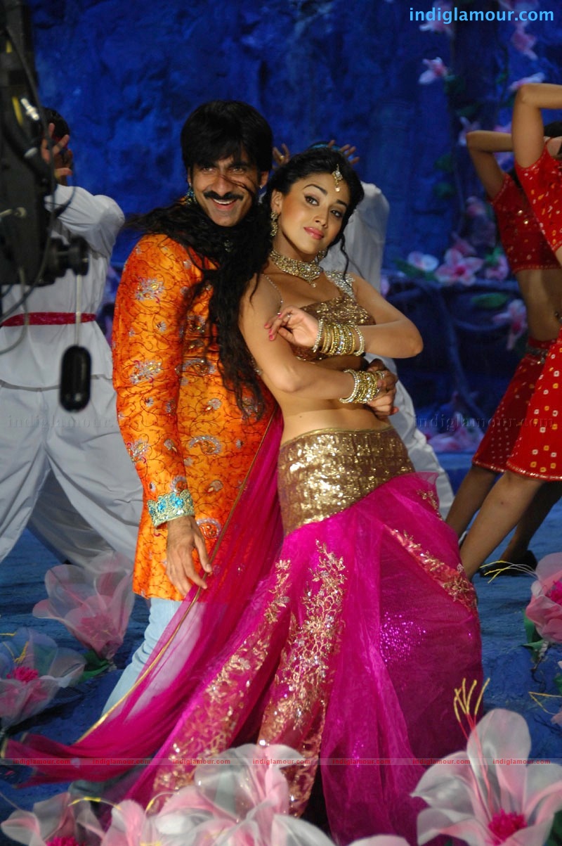 Don Seenu *ing Ravi Teja, Shriya Saran Movie hd photo