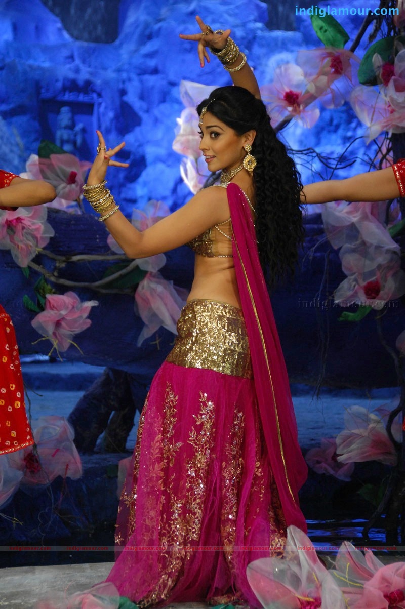 Don Seenu *ing Ravi Teja, Shriya Saran Movie hd photo