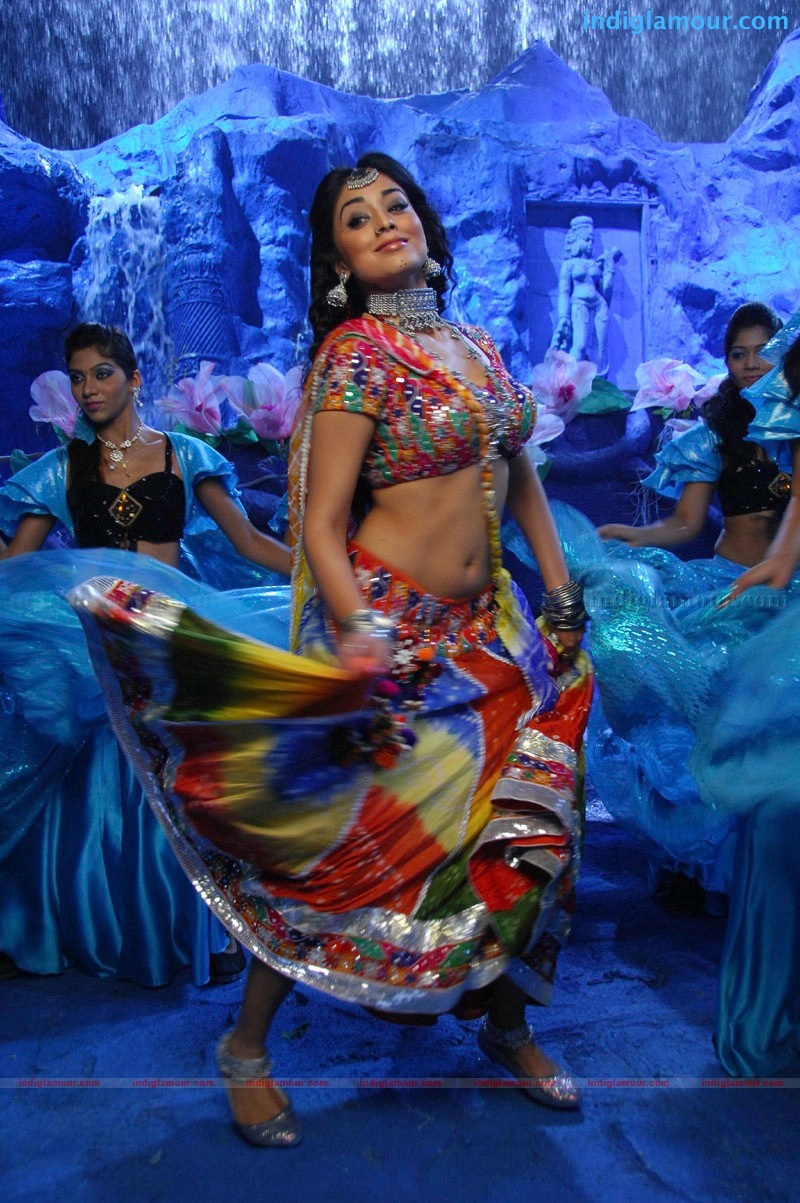 Don Seenu *ing Ravi Teja, Shriya Saran Movie hd photo