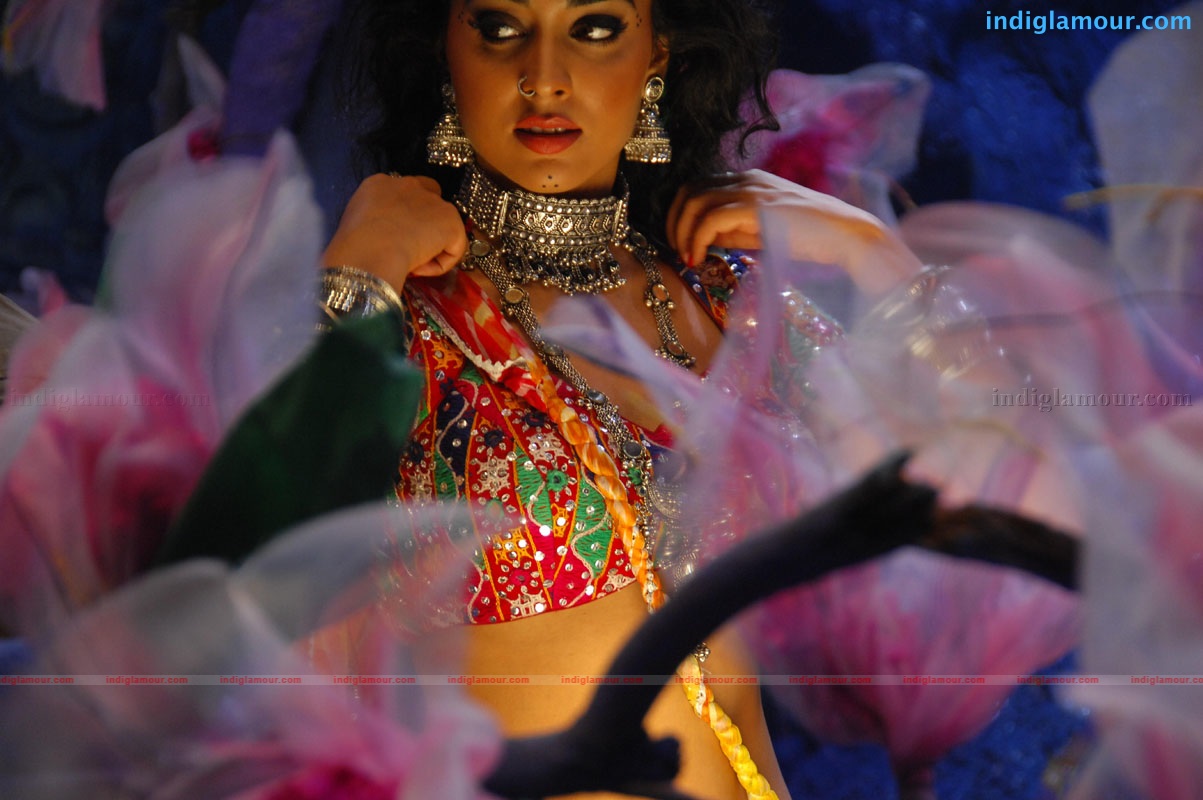 Don Seenu *ing Ravi Teja, Shriya Saran Movie hd photo