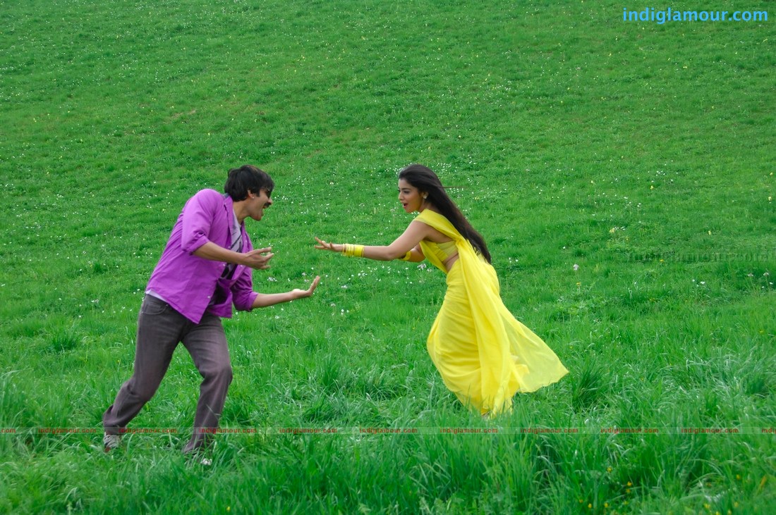 Don Seenu *ing Ravi Teja, Shriya Saran Movie hd photo