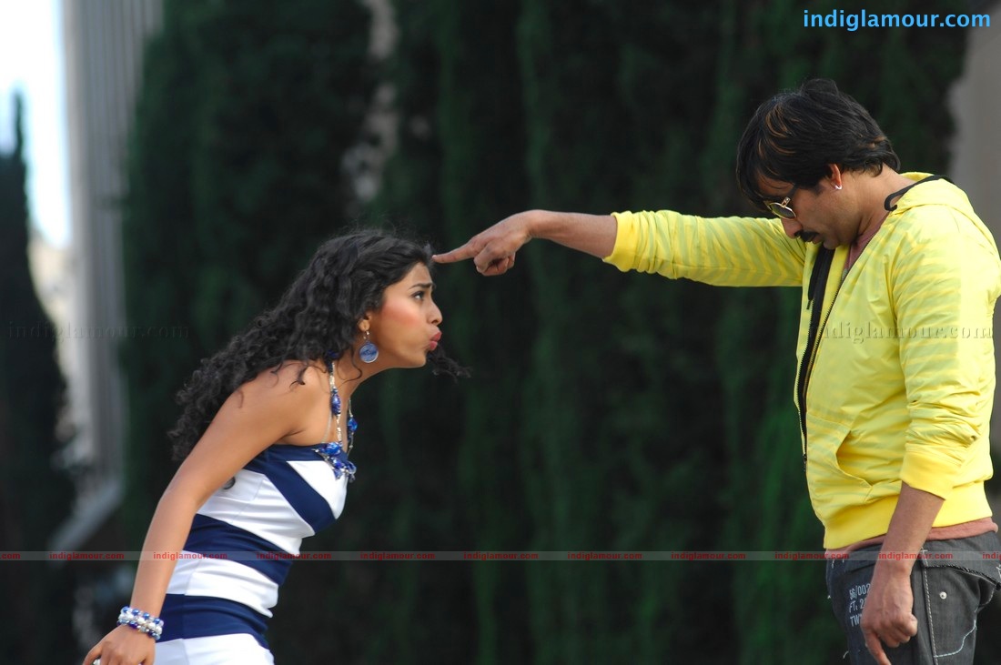 Don Seenu *ing Ravi Teja, Shriya Saran Movie hd photo