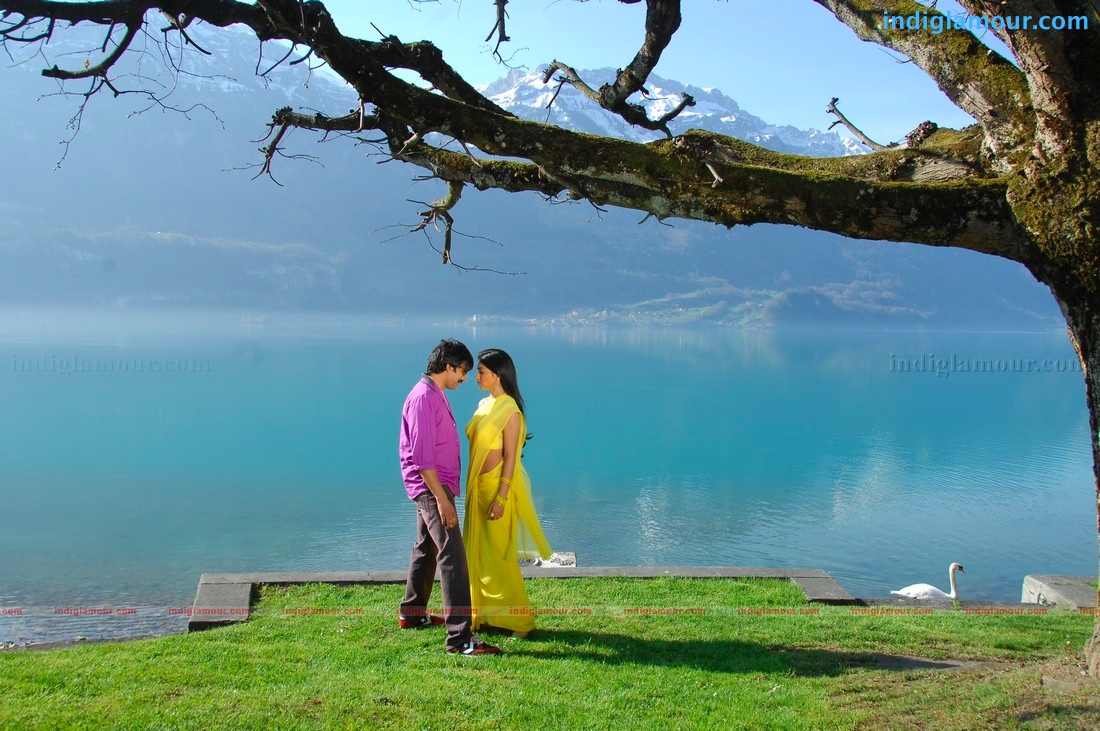 Don Seenu *ing Ravi Teja, Shriya Saran Movie hd photo