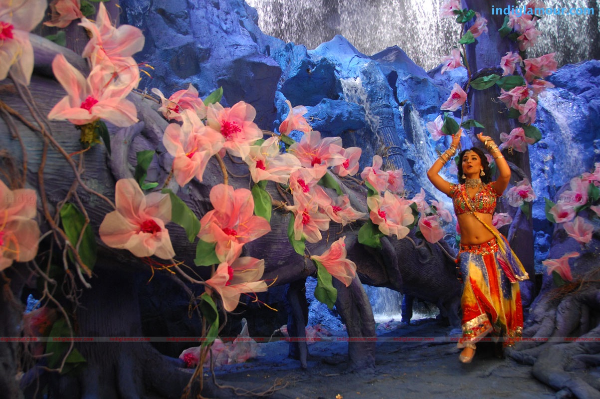 Don Seenu *ing Ravi Teja, Shriya Saran Movie hd photo