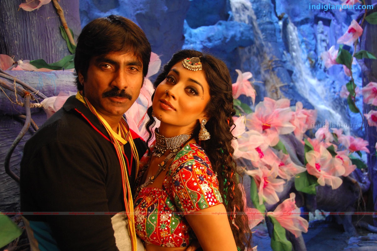 Don Seenu *ing Ravi Teja, Shriya Saran Movie hd photo