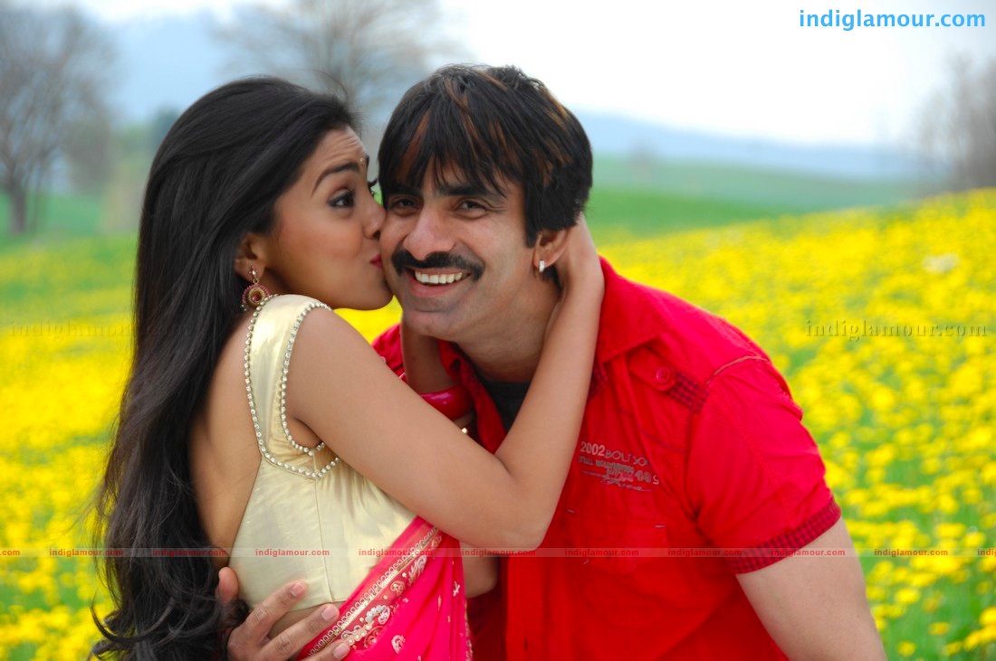 Don Seenu *ing Ravi Teja, Shriya Saran Movie hd photo