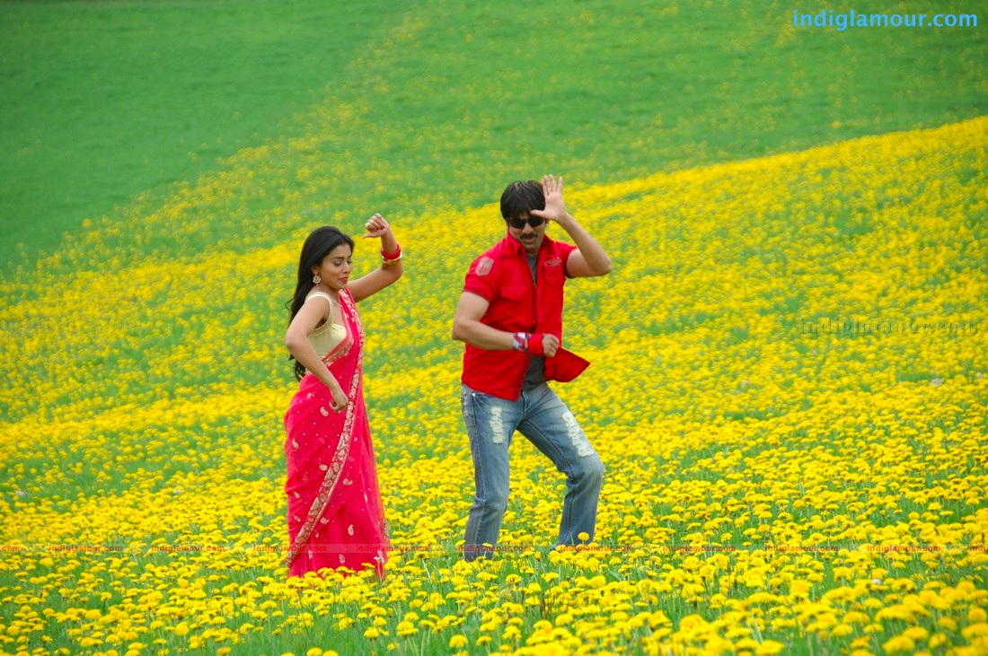 Don Seenu *ing Ravi Teja, Shriya Saran Movie hd photo