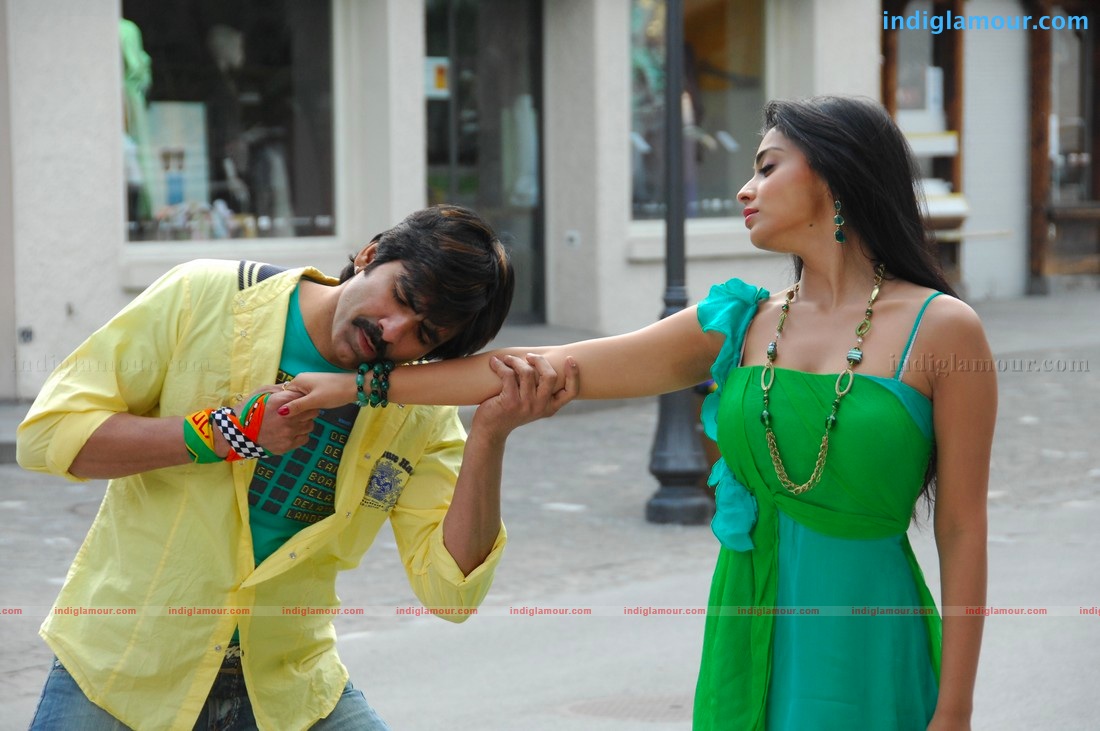 Don Seenu *ing Ravi Teja, Shriya Saran Movie hd photo
