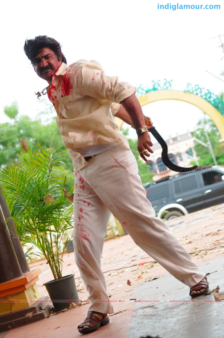 Ranga The Donga *ing Srikanth,Vimala Raman Movie hd photo