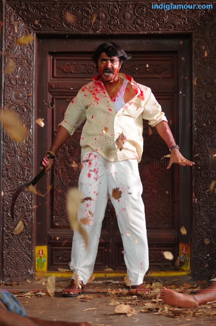 Ranga The Donga *ing Srikanth,Vimala Raman Movie hd photo