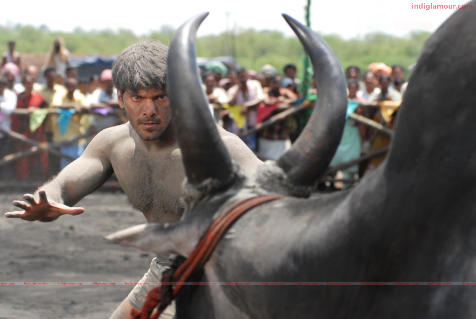 Varudu Movie hd photo