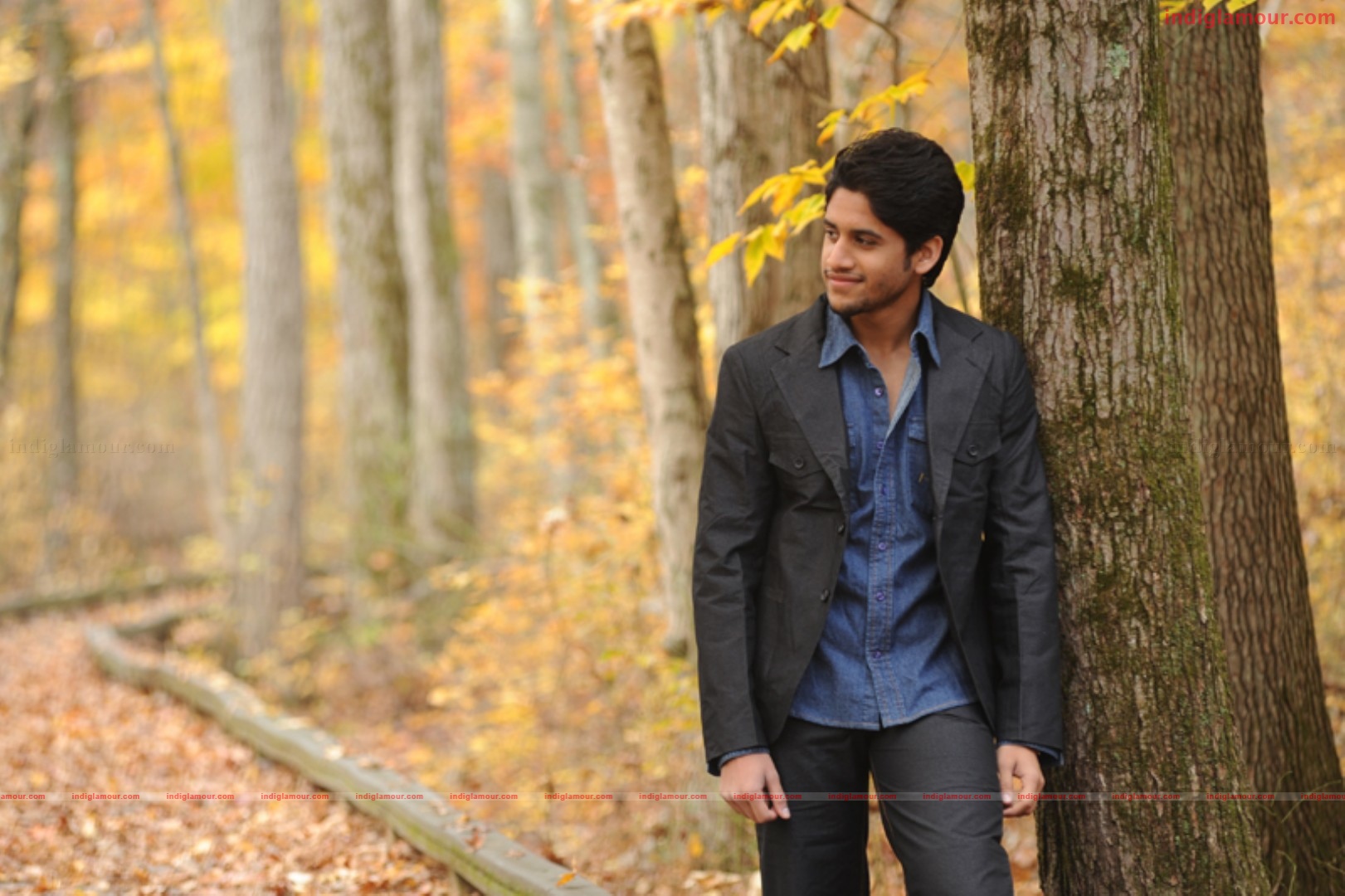 Yemaaya Chesave Movie hd photo