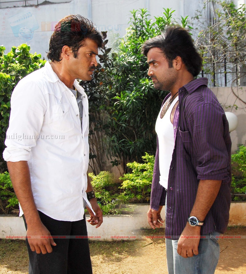 Prema Pilichindi Movie hd photo