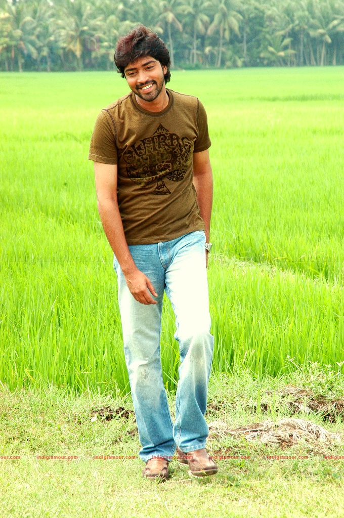 Betting Bangaraju Movie hd photo