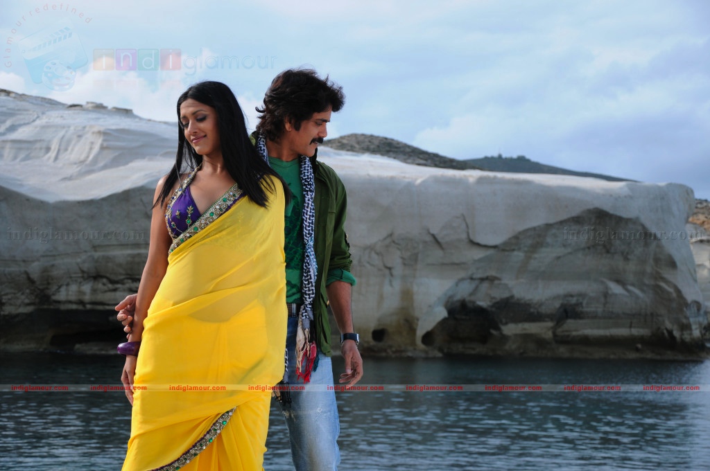 Kedi Movie hd photo