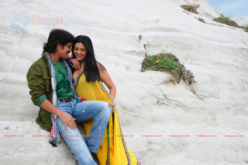 Kedi Movie hd photo
