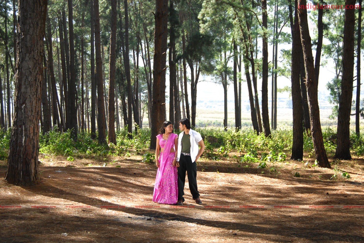 Priyamaina Anjali Movie hd photo