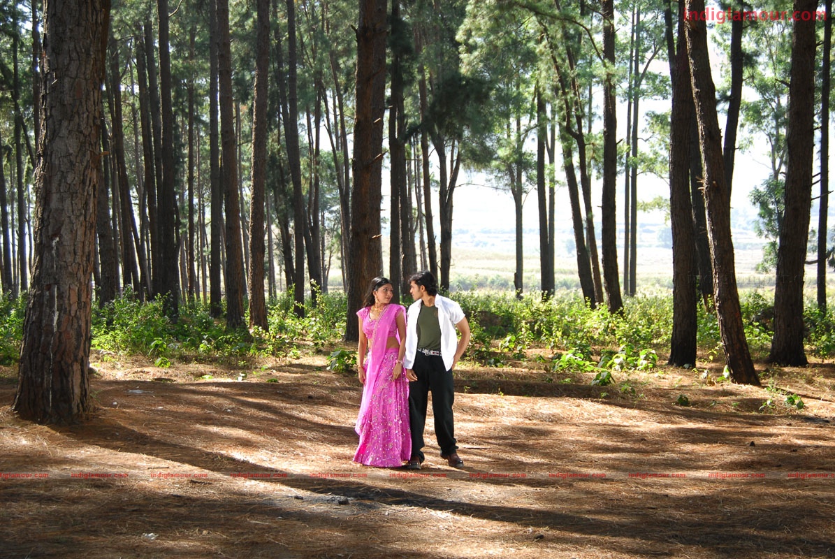 Priyamaina Anjali Movie hd photo