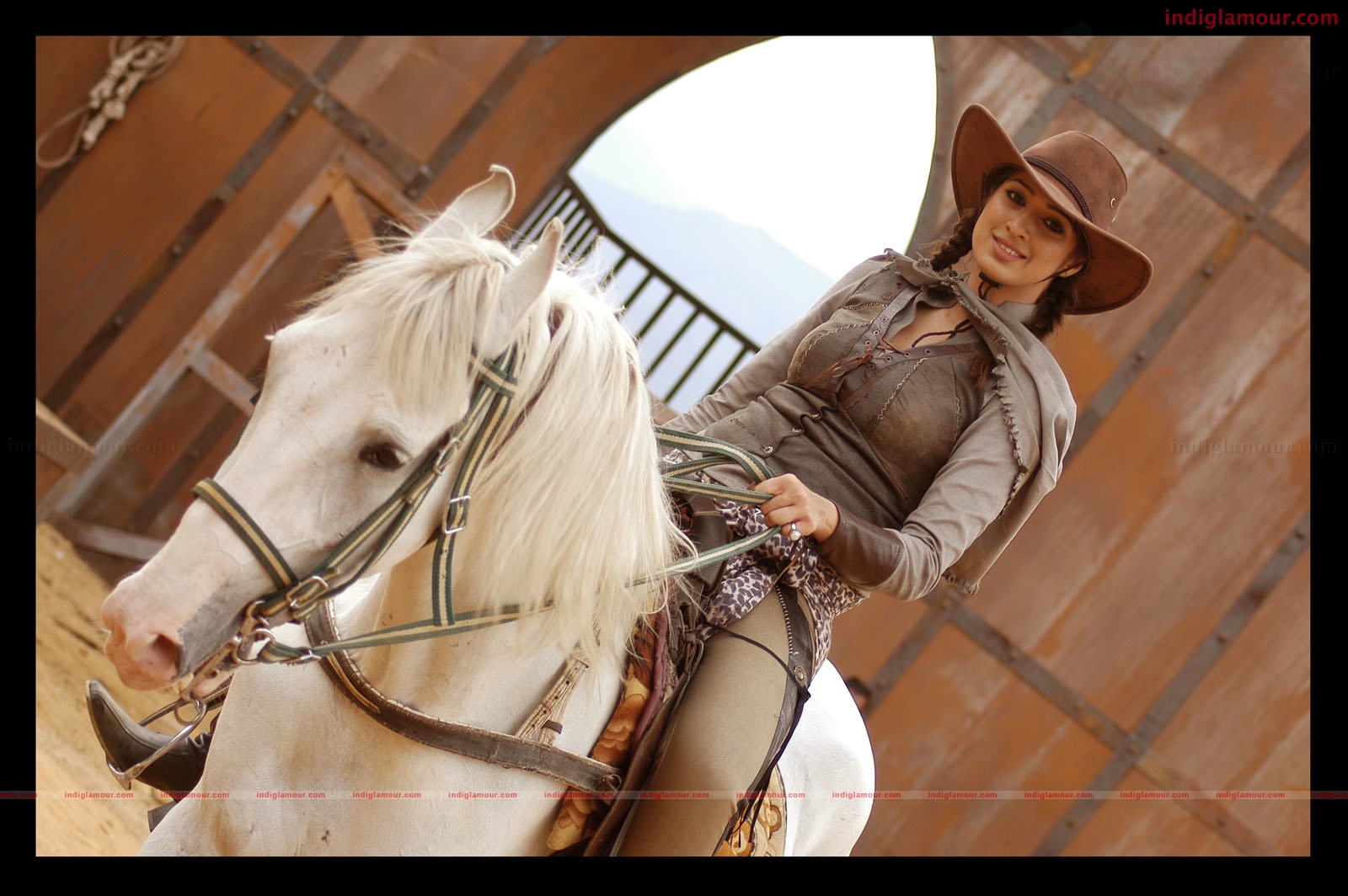Super Cowboy Movie hd photo