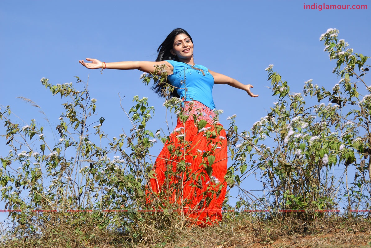 Priyamaina Anjali Movie hd photo