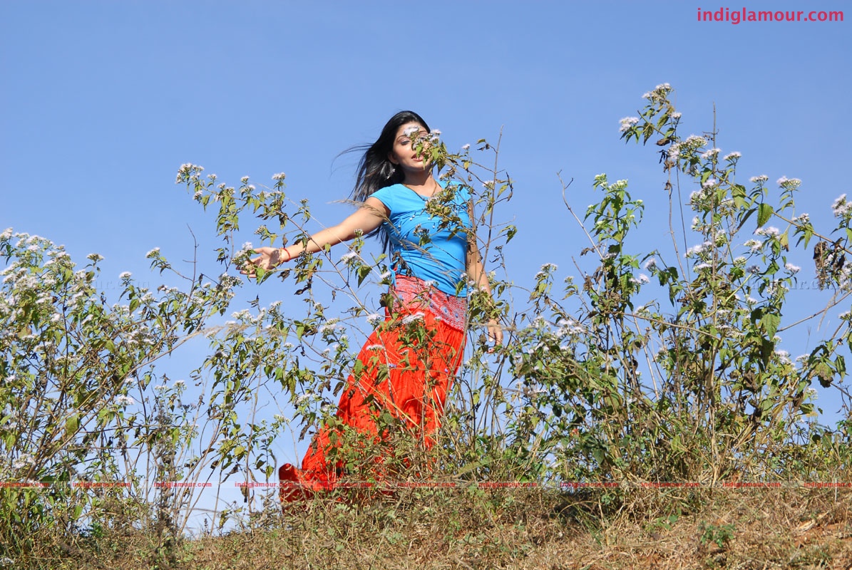 Priyamaina Anjali Movie hd photo