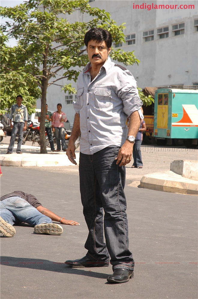 Simha Movie hd photo