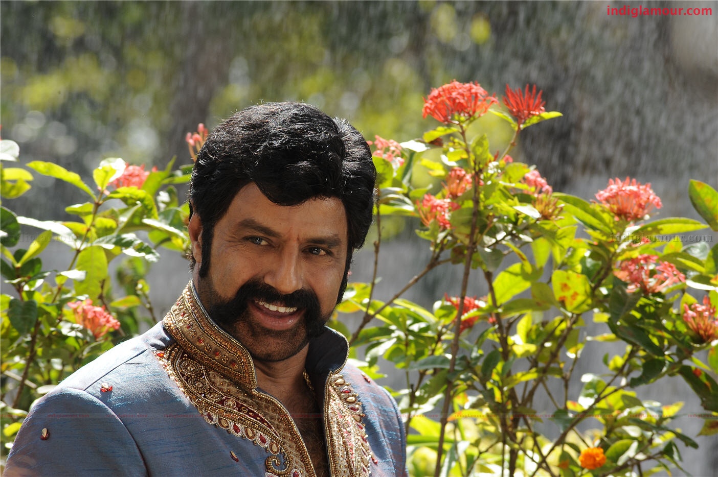 Simha Movie hd photo